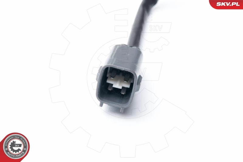 Oxygen Sensor